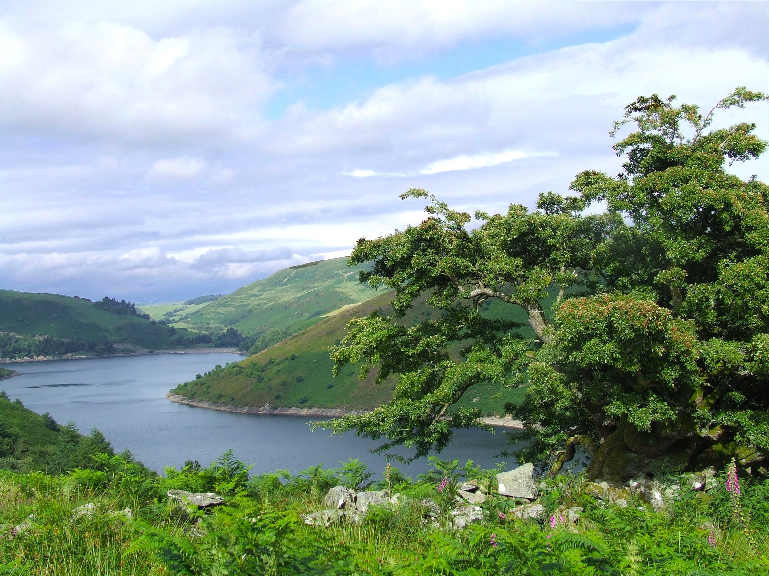 CLYWEDOG VIEW Bill Bagley Photography